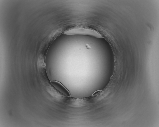 X0000113030384200908271500