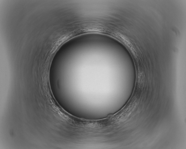 X0000113030385200908271459