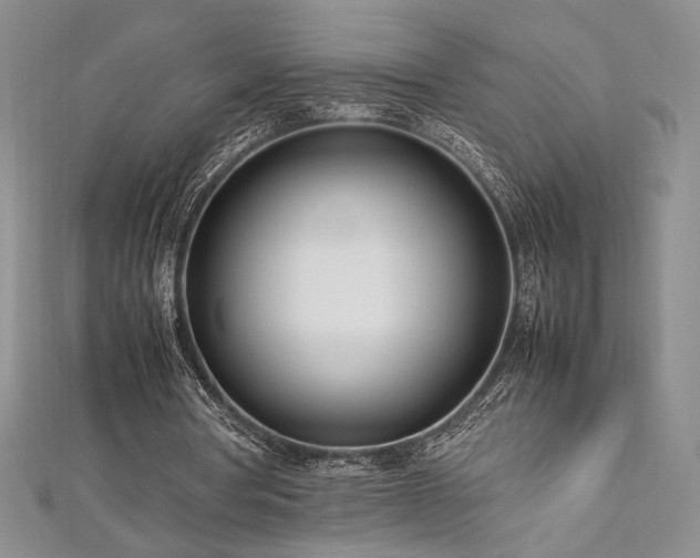 X0000113030386200908271459