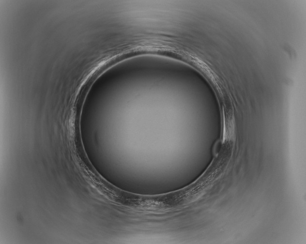 X0000113030387200908271459