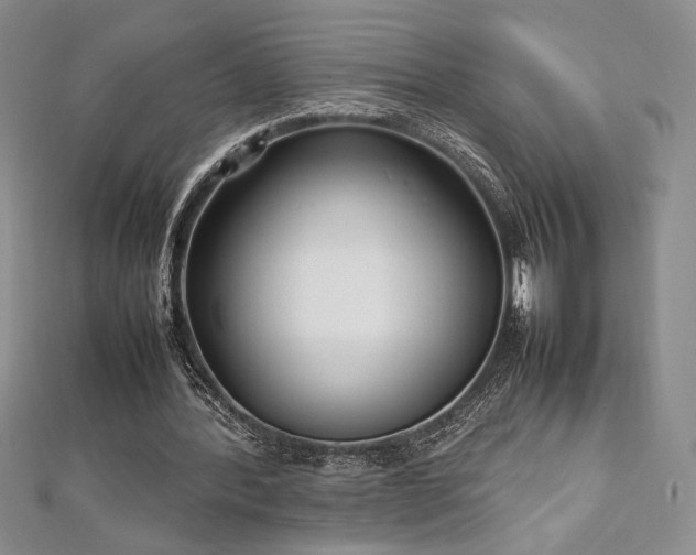 X0000113030388200908271459