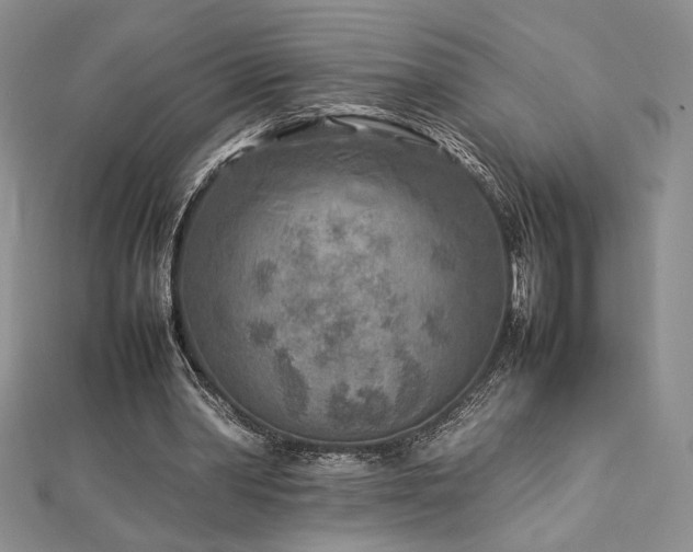 X0000113030390200908271459