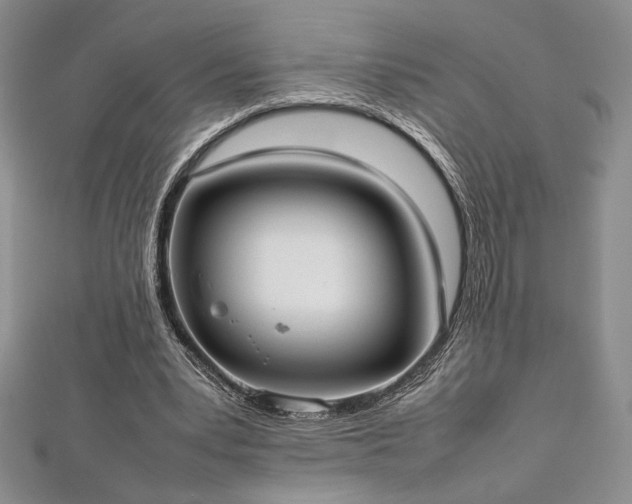 X0000113030391200908271459