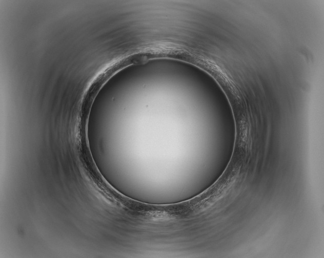 X0000113030392200908271459