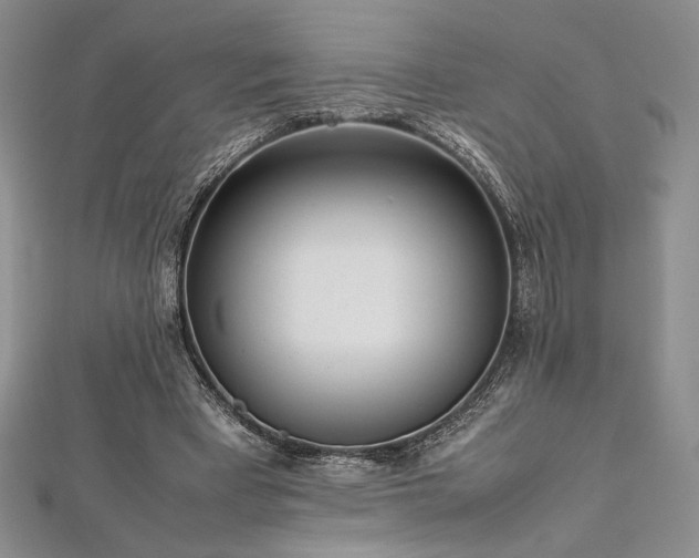 X0000113030393200908271459