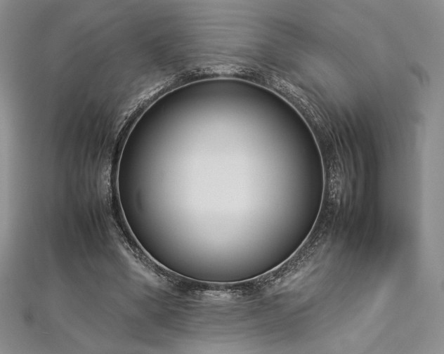 X0000113030394200908271459