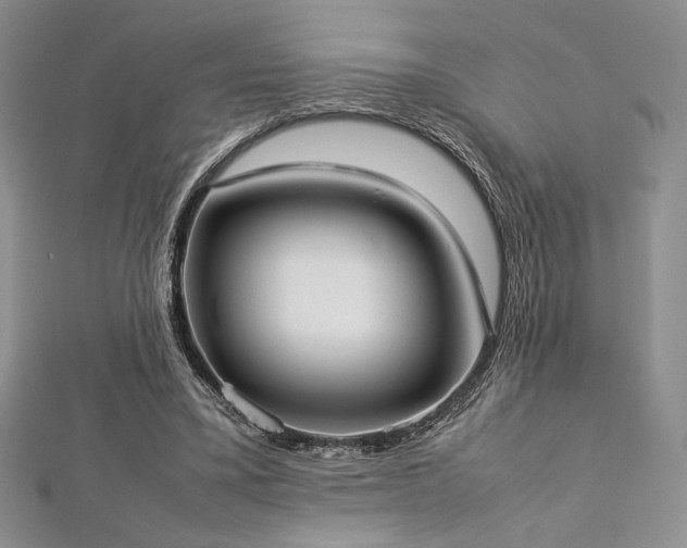 X0000113030395200908271459