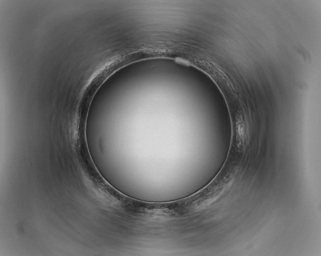 X0000113030396200908271459