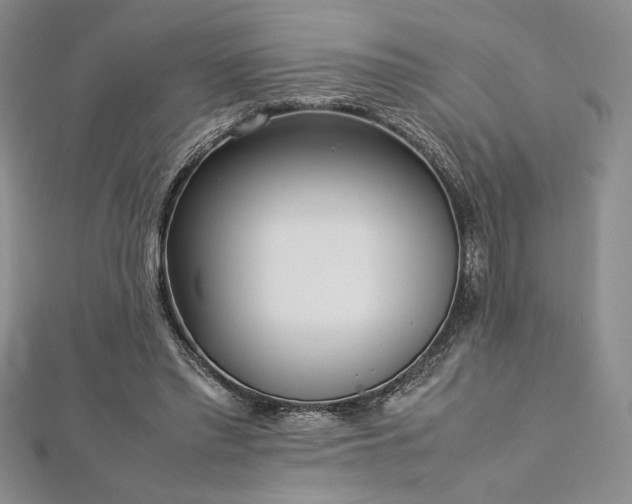 X0000113030397200908271459