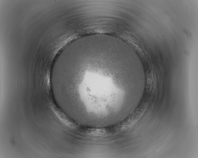 X0000113030398200908271459