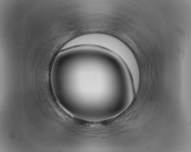 X0000113030401200908271459