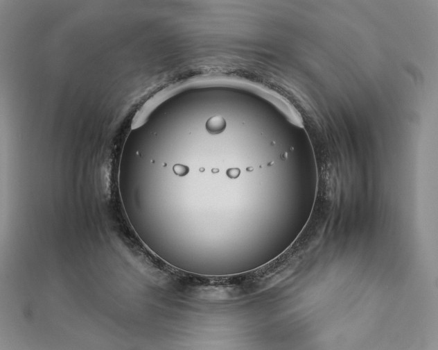 X0000113030404200908271459