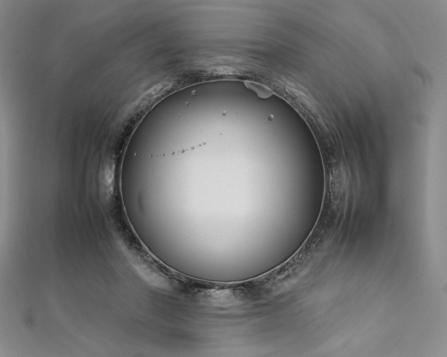 X0000113030406200908271459