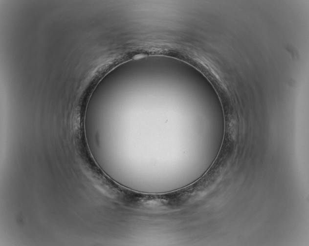 X0000113030407200908271459