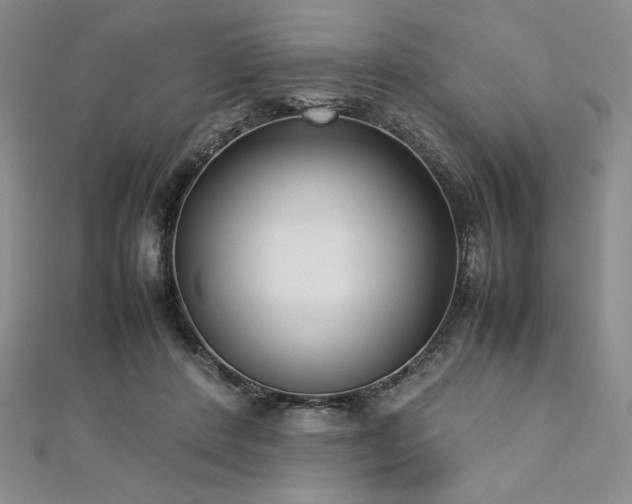 X0000113030408200908271459