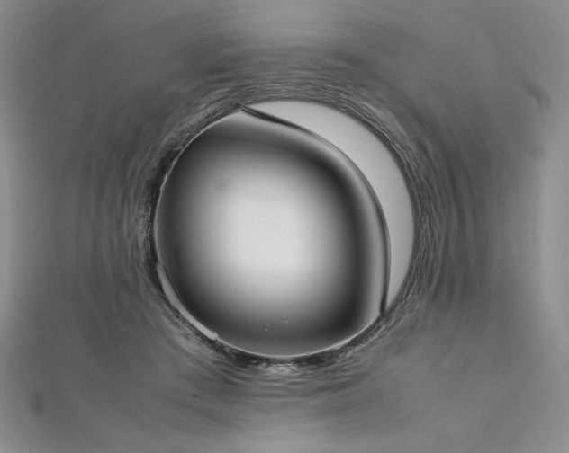 X0000113030409200908271459