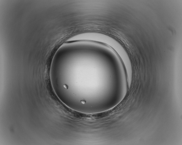 X0000113030411200908271459