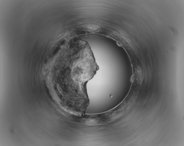 X0000113030412200908271459