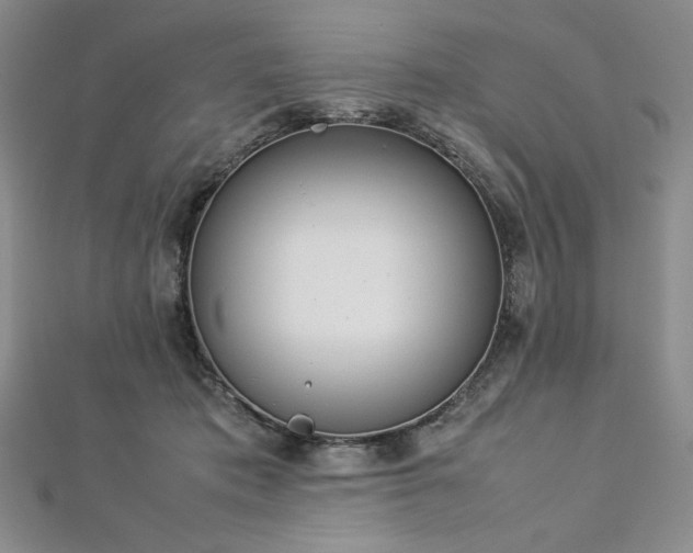 X0000113030413200908271459