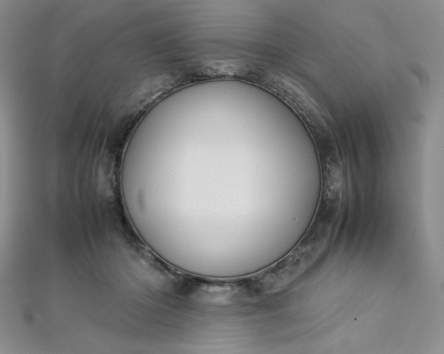 X0000113030414200908271459