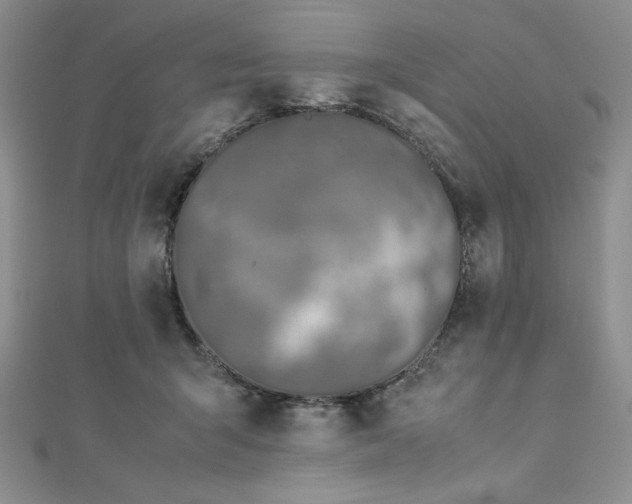 X0000113030415200908271459