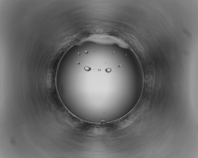 X0000113030416200908271459