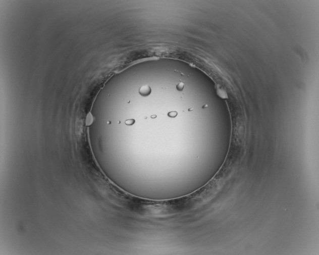 X0000113030417200908271459