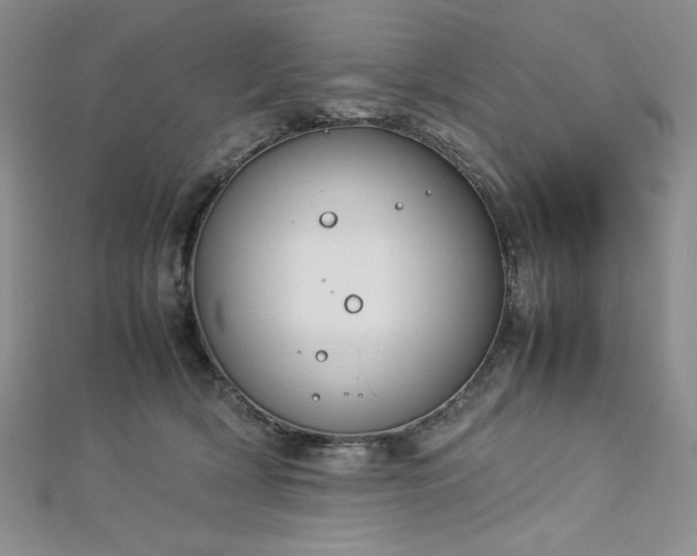 X0000113030418200908271459