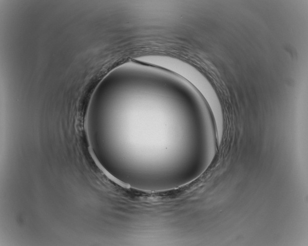 X0000113030419200908271459