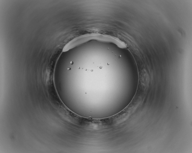 X0000113030420200908271459