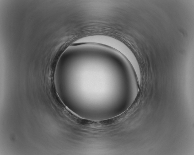 X0000113030423200908271459