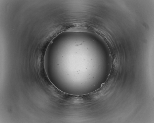 X0000113030424200908271459