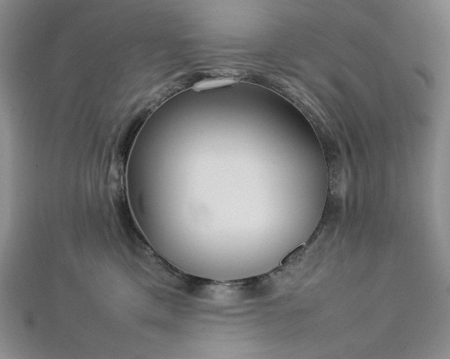 X0000113030425200908271459