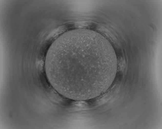 X0000113030427200908271459