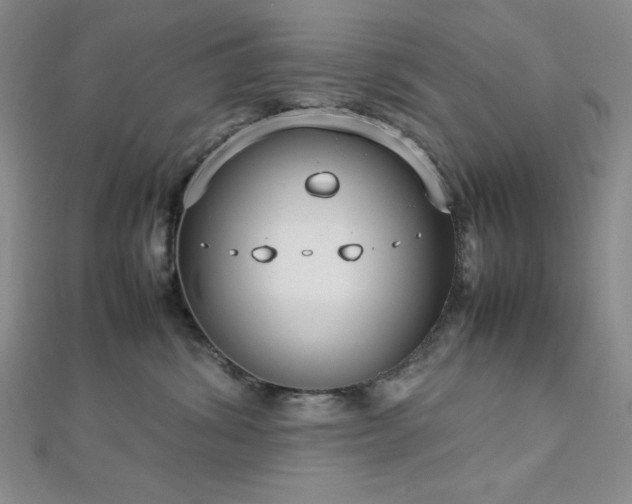 X0000113030428200908271459