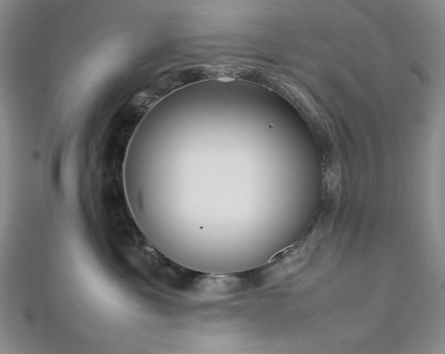 X0000113030429200908271459