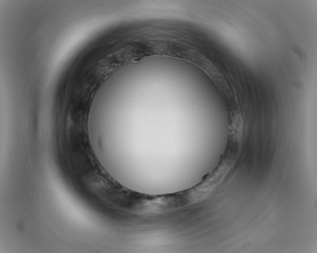 X0000113030430200908271459