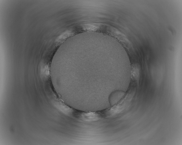 X0000113030431200908271459