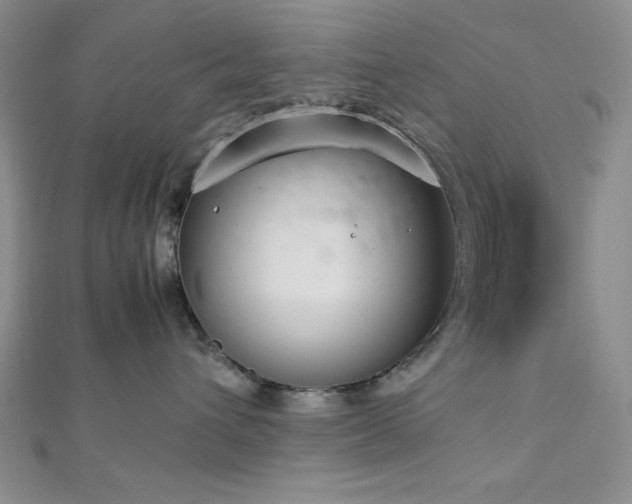 X0000113030432200908271459