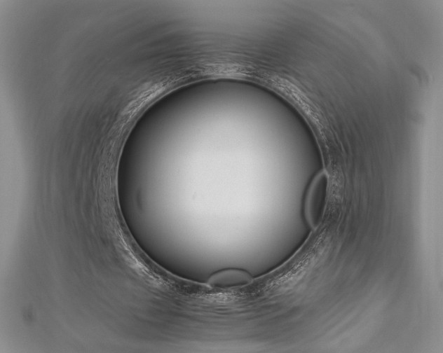 X0000113030433200908271458