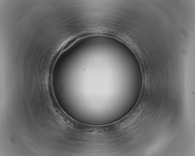 X0000113030434200908271458