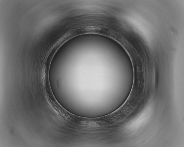 X0000113030435200908271458