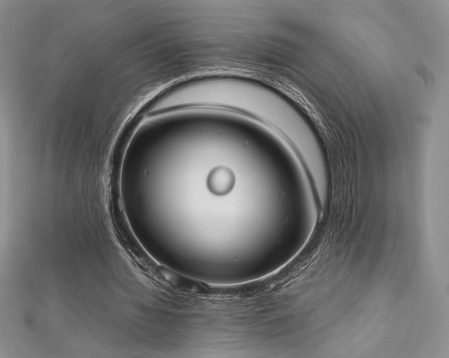 X0000113030436200908271458