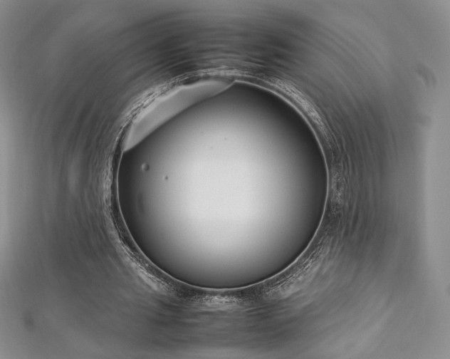 X0000113030437200908271458