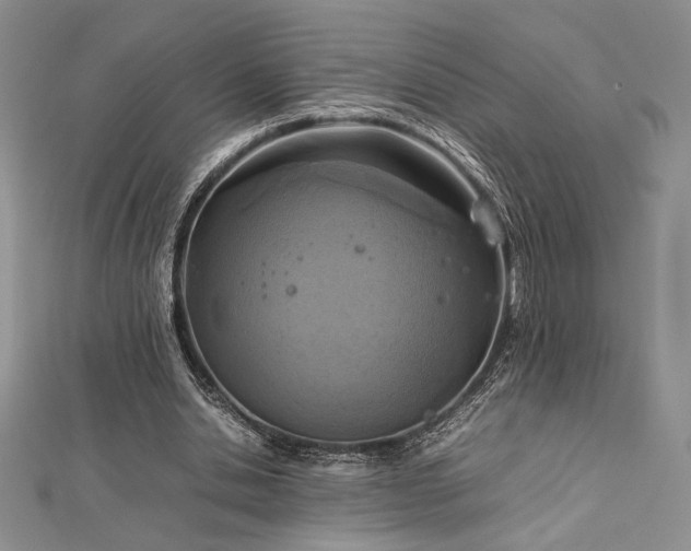 X0000113030438200908271458