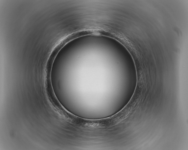 X0000113030440200908271458