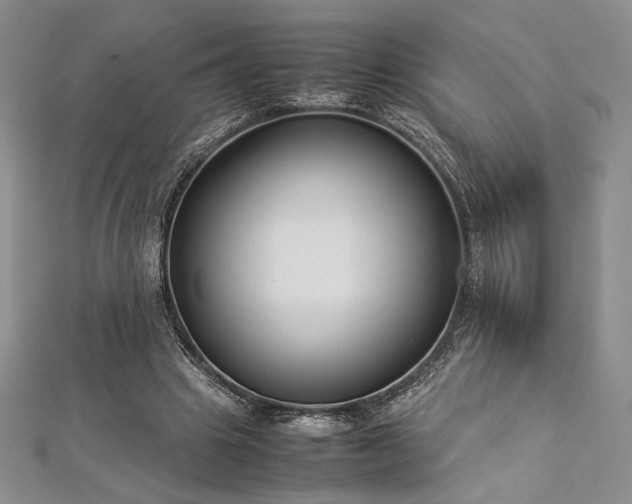 X0000113030441200908271458