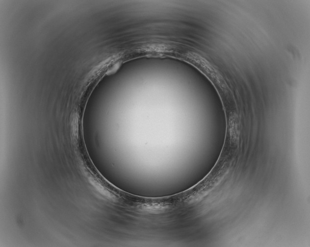 X0000113030445200908271458