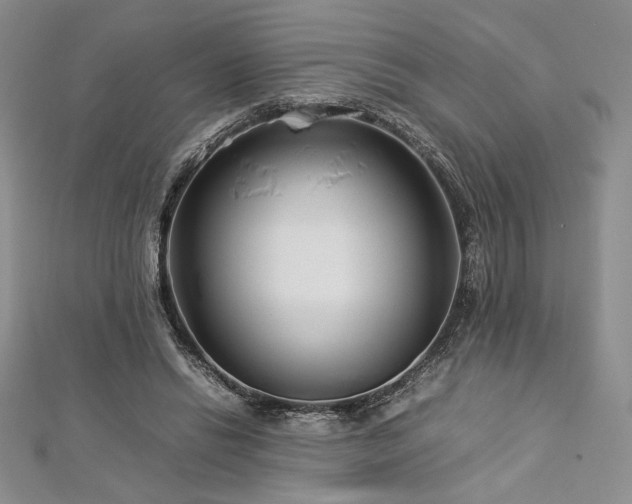 X0000113030446200908271458