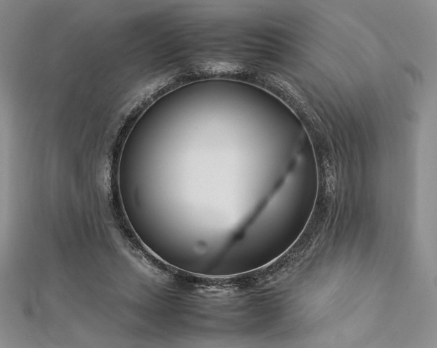 X0000113030447200908271458